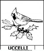 disegni_da_colorare_animali/uccello_uccelli/uccelli2.JPG