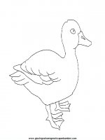 disegni_da_colorare_animali/uccello_uccelli/uccelli_04.JPG