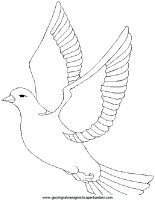 disegni_da_colorare_animali/uccello_uccelli/uccelli_20.JPG
