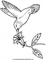 disegni_da_colorare_animali/uccello_uccelli/uccelli_30.JPG