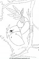 disegni_da_colorare_animali/uccello_uccelli/uccelli_33.JPG