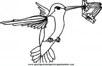 disegni_da_colorare_animali/uccello_uccelli/uccelli_40.JPG