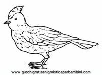disegni_da_colorare_animali/uccello_uccelli/uccelli_b9651.JPG