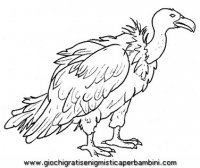 disegni_da_colorare_animali/uccello_uccelli/uccelli_b9654.JPG