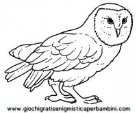 disegni_da_colorare_animali/uccello_uccelli/uccelli_b9655.JPG