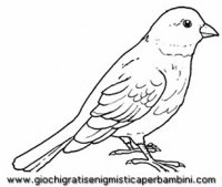 disegni_da_colorare_animali/uccello_uccelli/uccelli_b9657.JPG