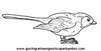 disegni_da_colorare_animali/uccello_uccelli/uccelli_b9662.JPG
