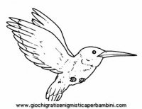 disegni_da_colorare_animali/uccello_uccelli/uccelli_b9663.JPG