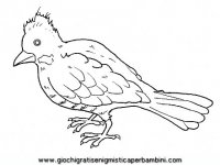 disegni_da_colorare_animali/uccello_uccelli/uccelli_b9671.JPG