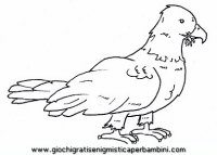 disegni_da_colorare_animali/uccello_uccelli/uccelli_b9672.JPG