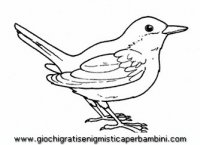 disegni_da_colorare_animali/uccello_uccelli/uccelli_b9684.JPG