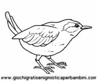 disegni_da_colorare_animali/uccello_uccelli/uccelli_b9685.JPG