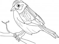 disegni_da_colorare_animali/uccello_uccelli/uccello2.jpg