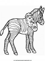 disegni_da_colorare_animali/zebra_zebre/zebra001.JPG