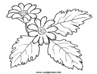 disegni_da_colorare_natura/fiore_fiori/anemone.JPG