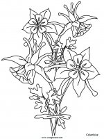 disegni_da_colorare_natura/fiore_fiori/fiori_32.JPG