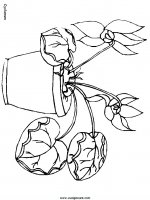 disegni_da_colorare_natura/fiore_fiori/fiori_33.JPG