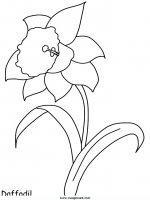disegni_da_colorare_natura/fiore_fiori/fiori_35.JPG