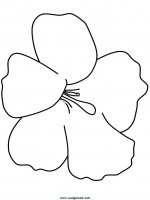 disegni_da_colorare_natura/fiore_fiori/fiori_60.JPG