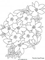 disegni_da_colorare_natura/fiore_fiori/fiori_71.JPG
