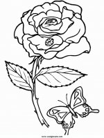 disegni_da_colorare_natura/fiore_fiori/fiori_9.JPG