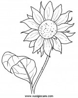 disegni_da_colorare_natura/fiore_fiori/girasole9650.JPG