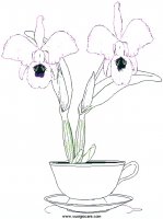 disegni_da_colorare_natura/fiore_fiori/orchid.JPG