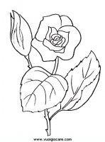 disegni_da_colorare_natura/fiore_fiori/rosa.JPG