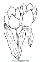 disegni_da_colorare_natura/fiore_fiori/tulipano.JPG