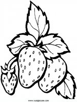 disegni_da_colorare_natura/frutta_frutti/26.JPG