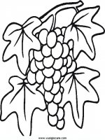 disegni_da_colorare_natura/frutta_frutti/33.JPG