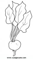 disegni_da_colorare_natura/verdura/barbabietola.JPG