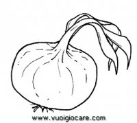 disegni_da_colorare_natura/verdura/cipolla.JPG