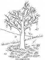 disegni_da_colorare_quattro_stagioni/autunno/autunno9650.JPG