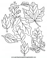 disegni_da_colorare_quattro_stagioni/autunno/autunno_x74.JPG