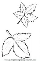 disegni_da_colorare_quattro_stagioni/autunno/autunno_x79.JPG