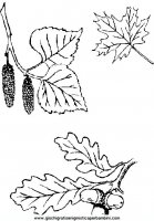 disegni_da_colorare_quattro_stagioni/autunno/autunno_x80.JPG
