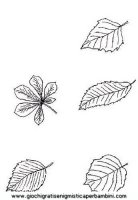 disegni_da_colorare_quattro_stagioni/autunno/autunno_x84.JPG