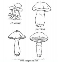 disegni_da_colorare_quattro_stagioni/autunno/funghi.JPG