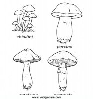 disegni_da_colorare_quattro_stagioni/autunno/funghi9650.JPG