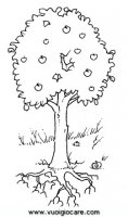 disegni_da_colorare_scienze/ciclo_della_pianta/cicloPianta7.JPG
