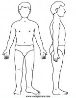 disegni_da_colorare_scienze/corpo_umano/corpoumano9650.JPG