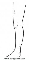 disegni_da_colorare_scienze/corpo_umano/gamba9650.JPG