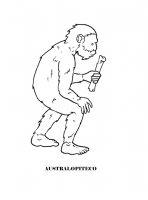 disegni_da_colorare_scienze/evoluzione_uomo/australopiteco.jpg