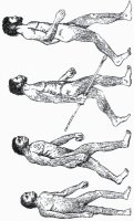disegni_da_colorare_scienze/evoluzione_uomo/evoluzione_uomo_b10.jpg
