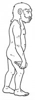 disegni_da_colorare_scienze/evoluzione_uomo/evoluzione_uomo_b12.jpg